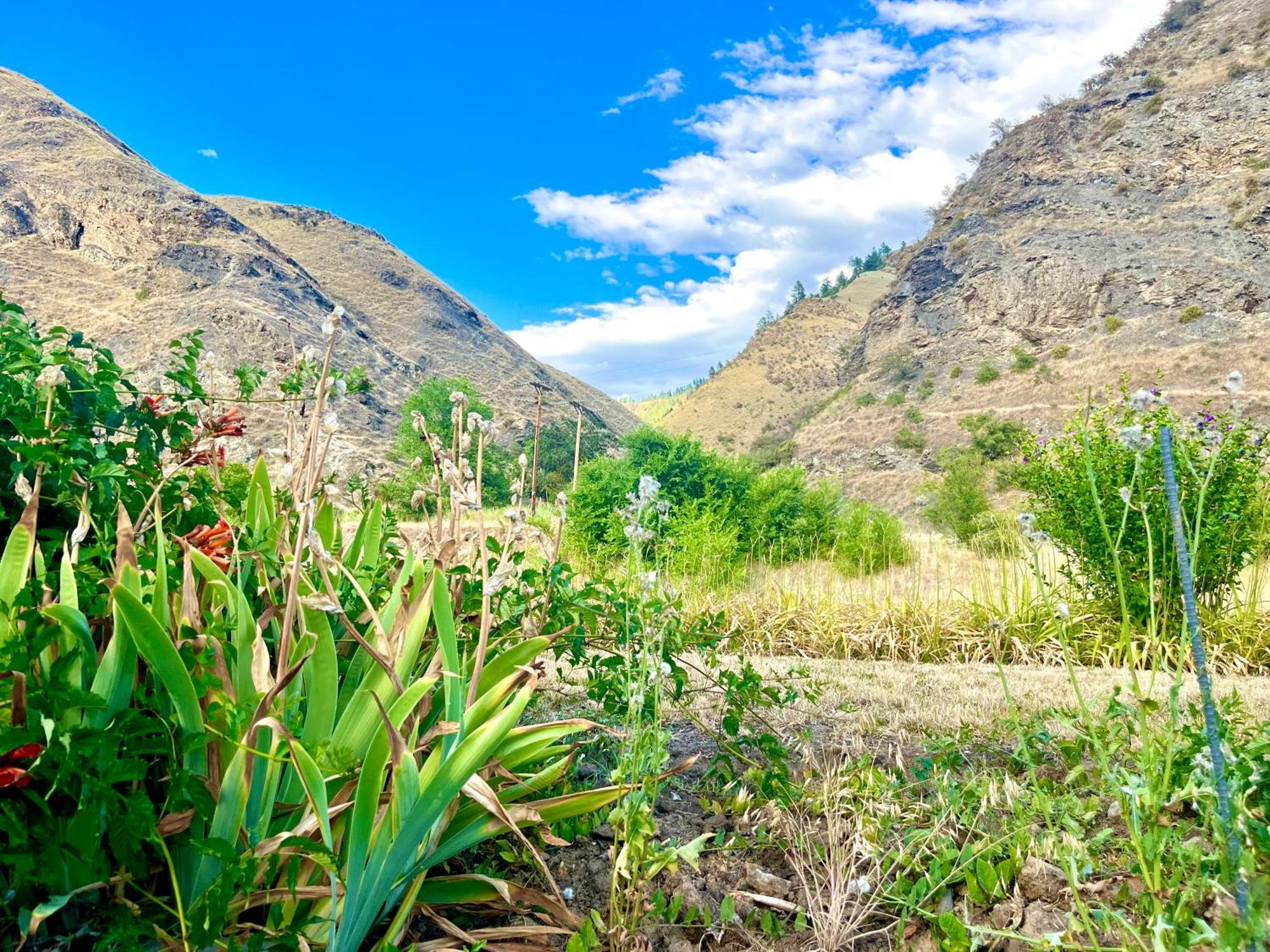 Steelhead Lodge Lucile Ngoại thất bức ảnh